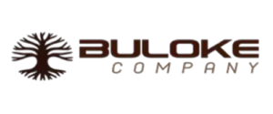 Novo-Projeto-1 (1)